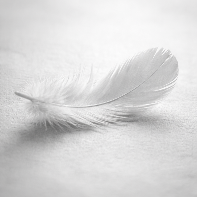 Linda Scholz bei einer Coaching-Session