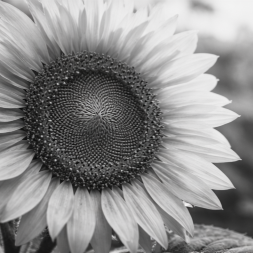 Entspannungstraining